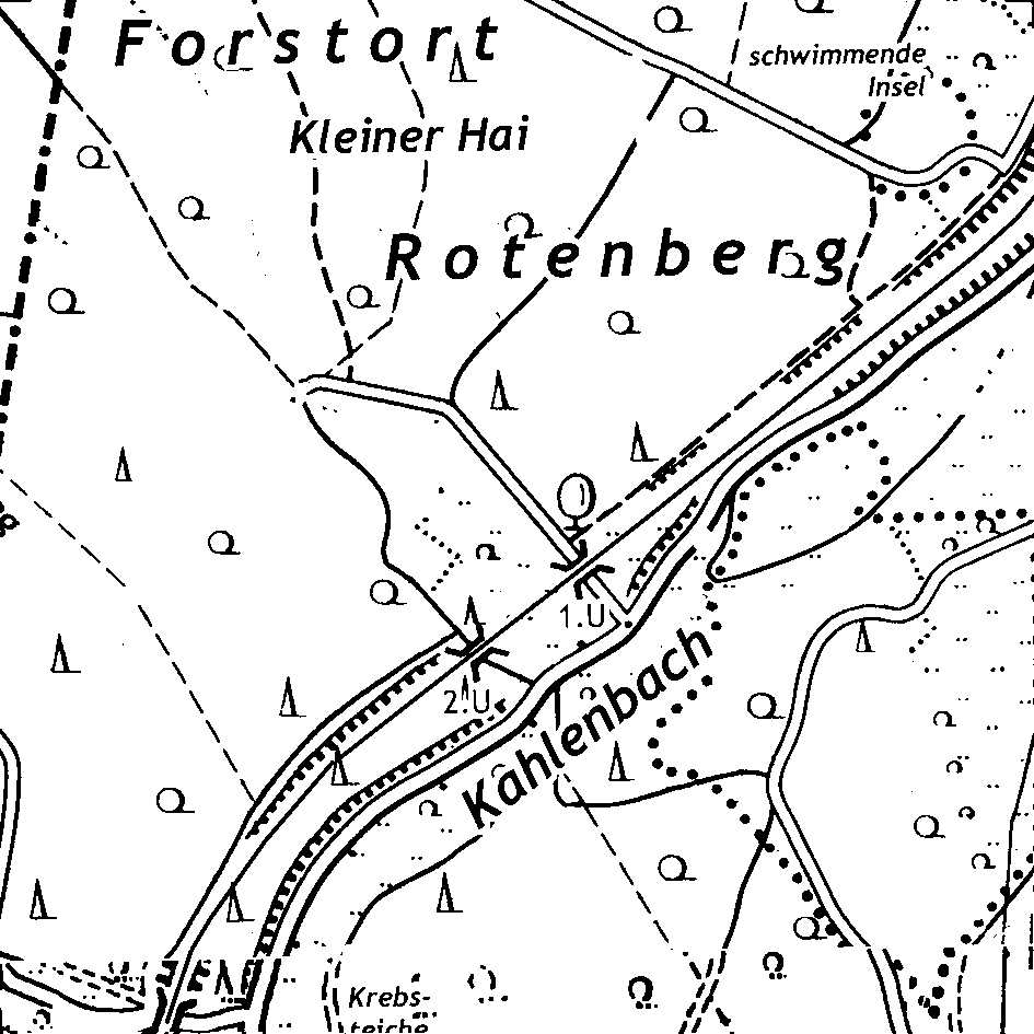 h5